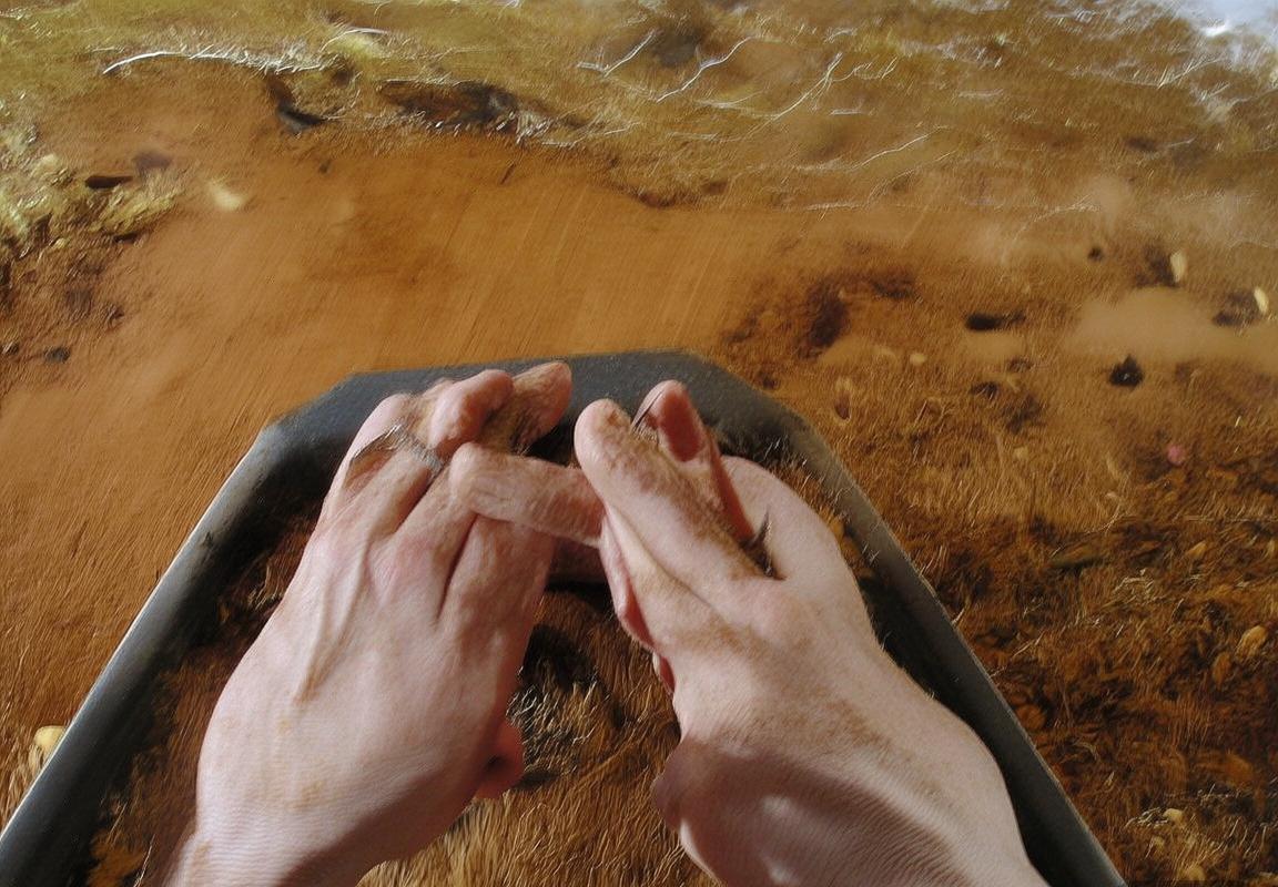 狂欢猎空皮肤上线：达拉斯燃料队守望先锋联赛冠军皮肤，使用联赛代币获取